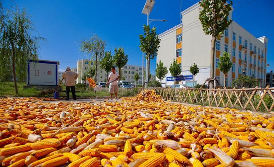 【喜迎十九大 网聚河南扶贫新变化】范县:小伙