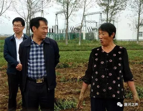 唐河县委书记李德成深入乡镇察看花生受灾情况