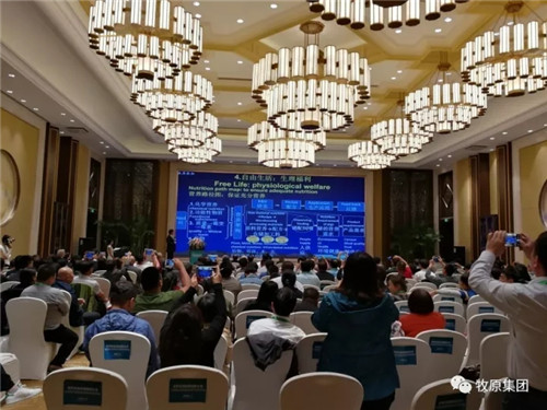 长秦英林出席世界农场动物福利大会并做主旨报