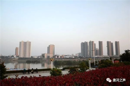 去年镇平就gdp_镇平一高图片(3)