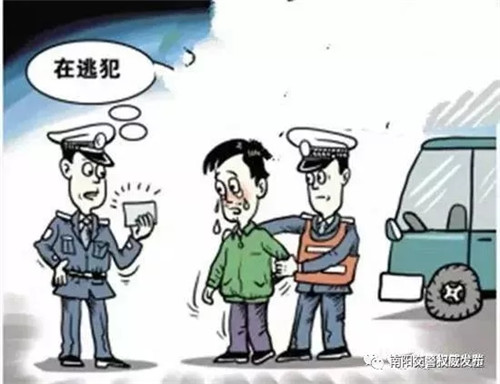 驾在逃乘坐大巴 桐柏交警慧眼识别拿下_南阳新