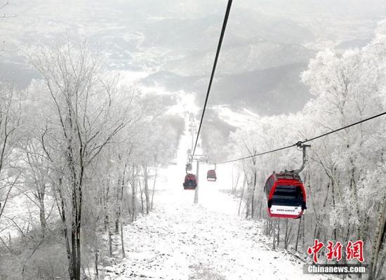 资料图：吉林省吉林市境内的一家滑雪场内出现了大面积雾凇美景，山上山下一片银装素裹，好似童话世界。金乔 摄