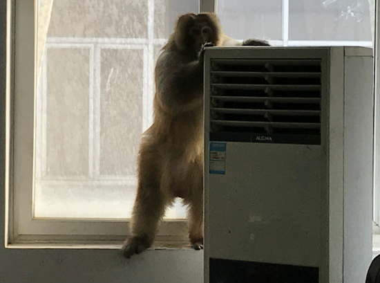֣��⨺��뵱���촳���칫�� ������Ҳ�κβ�����