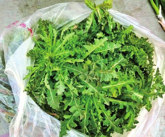 集市上正卖的野菜（野渠渠）