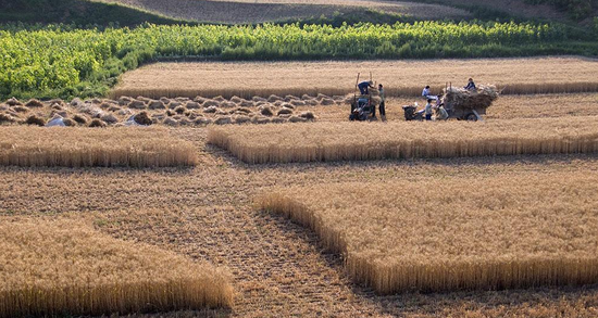 郑州出台人地挂钩用地新政 实施差别化用地标
