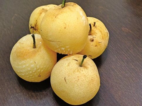 周口黄泛区黄金梨