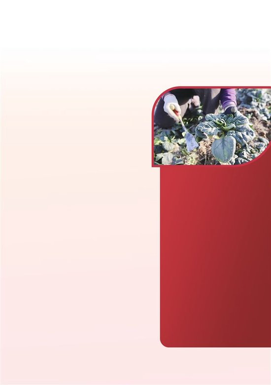 “趴地菠菜”走红网络，省人大代表陈世法借此谈河南农业发展