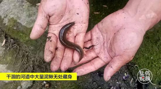 ֣�������ˮ�Ӻӵ���׽���� ���������ܳ���