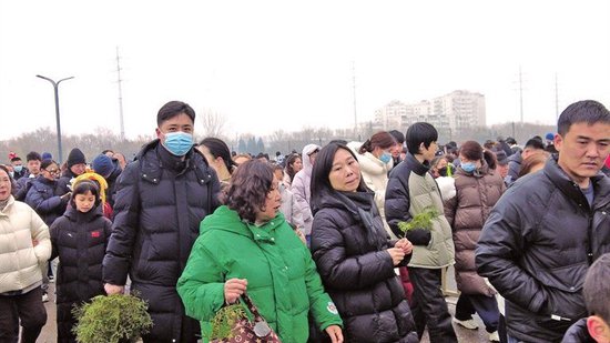 市民买一把柏枝祈求身体健康