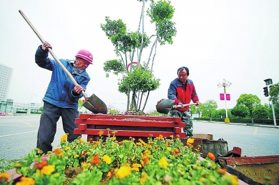 道路中央的盆栽正在準備