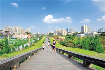 8月14日,孩子们在商城遗址城墙上奔跑 记者 王秀清 图