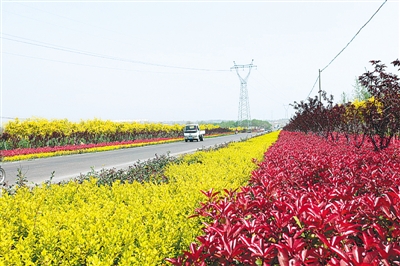 新密风景如画的生态廊道 资料图片