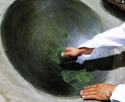 炒茶師傅正在炒茶