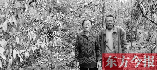 □东方今报·猛犸新闻记者 李国营 见习记者 崔峰/文图