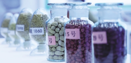 省级实验室精准定位的背后,招揽人才是关键