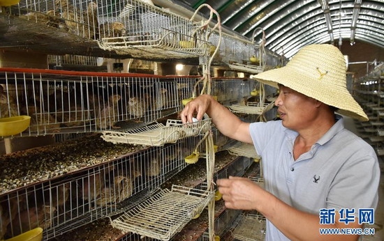 狮子镇有多少人口_北流隆盛镇有多少人口