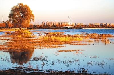 郑州启动国家生态园林城市建设 2018年建成区