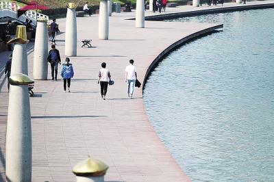 陽光下的花、河與鴨。