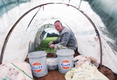 村民用環保酵素施肥