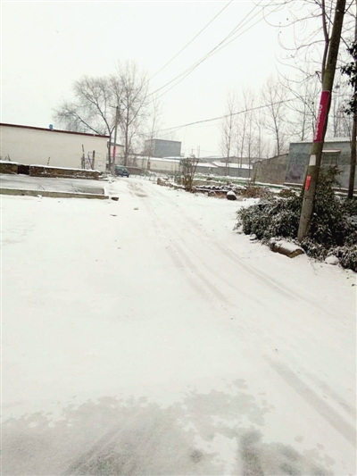 河南多地昨天白天已下雪 郑州人的朋友圈都在晒"别人家的雪"