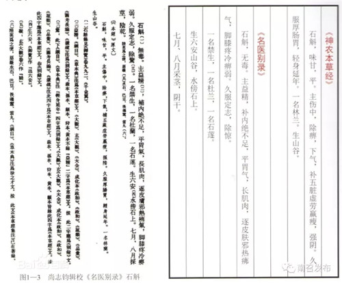 南召县:仙草石斛让穷山沟变成聚宝盆_南阳