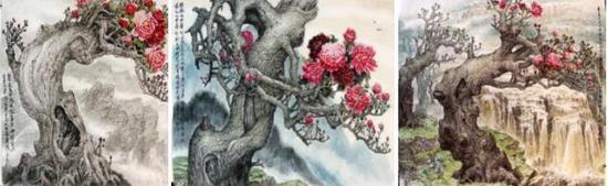 千年古树绽新花