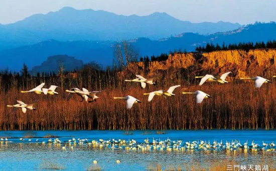 欢乐亲子游学之旅——三门峡天鹅湖湿地公园