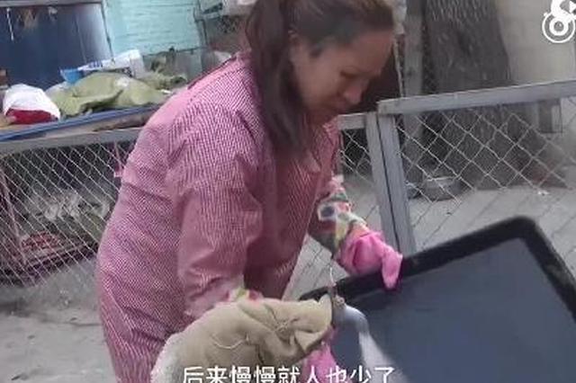 女子花10万救800流浪猫狗，负债累累筹狗