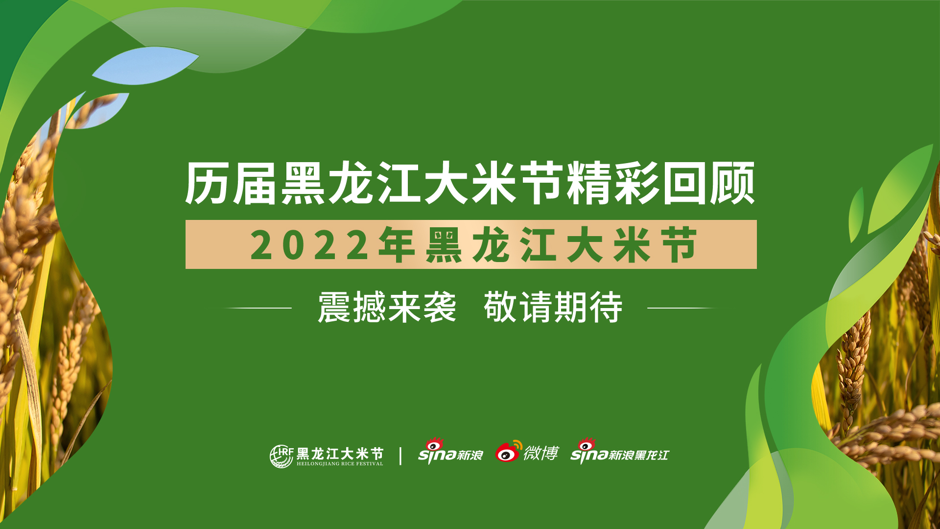 2022年黑龙江大米节