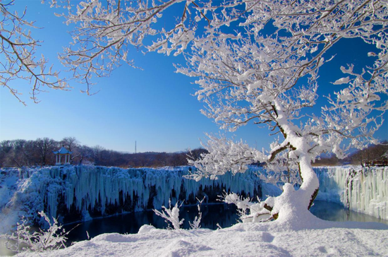 镜泊湖吊水楼瀑布冬景 陈守政 摄