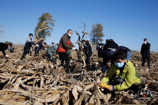 双城总人口_镜双城(2)
