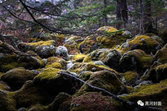 火山地貌系由于此地从晚石碳纪、早/晚二叠纪以来 多次发生火山运动、玄武岩喷溢而形成的地质现状