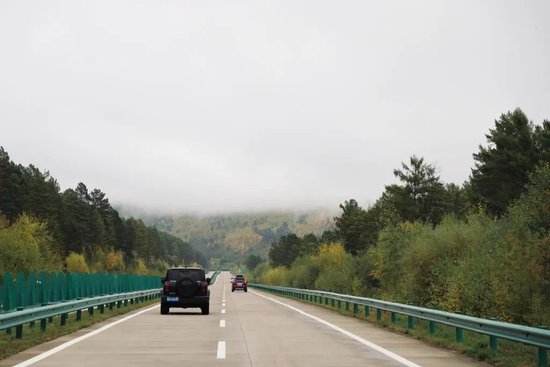 去往北极村的道路两侧，树木葱郁。新华社记者徐凯鑫 摄