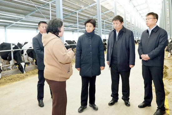 省委副书记、省长梁惠玲来到黑龙江圣元谱华威牧业万头奶牛牧场，询问牧场建设、奶牛养殖及粪污处理等情况。