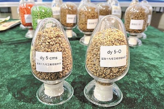 实践十九号卫星载荷交付 黑大培育种子完成太空遨游