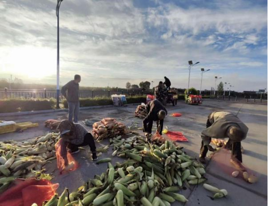 堅持文旅賦能 推進鄉村振興