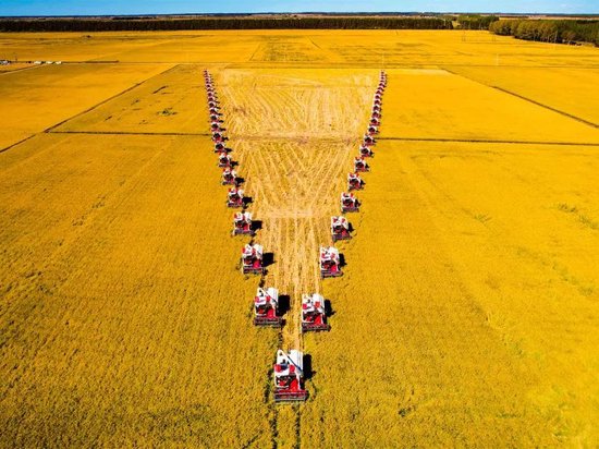 盛世華誕 大美龍江織錦繡