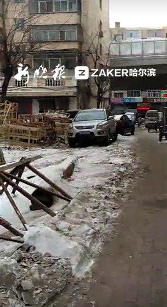 去年冬天小区内垃圾遍地。
