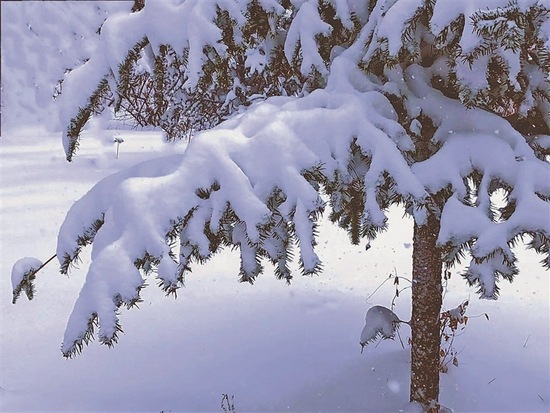 双鸭山