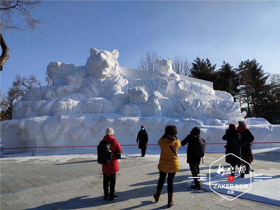 免费打滑梯玩雪圈！第三十四届哈尔滨太阳岛雪博会开园