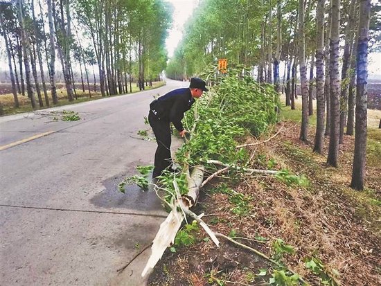 警民群众协力清空拦路树木