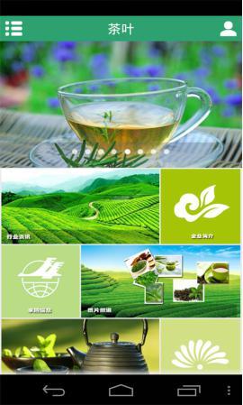 “互联网+茶业”掀起茶行业新篇章