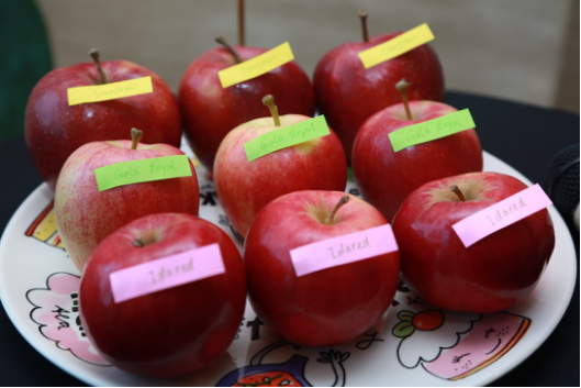 喜来登企业文化|文化影视酒店餐饮业会展娱乐