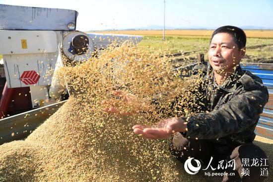 金豆子飞起来，老百姓的生活富裕起来。崔伦震 摄（资料图片）