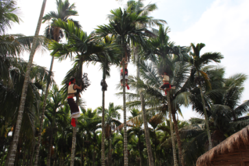 哪个槟榔湖南人更爱吃?