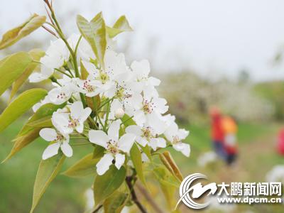 朱家镇_朱家镇有多少人口