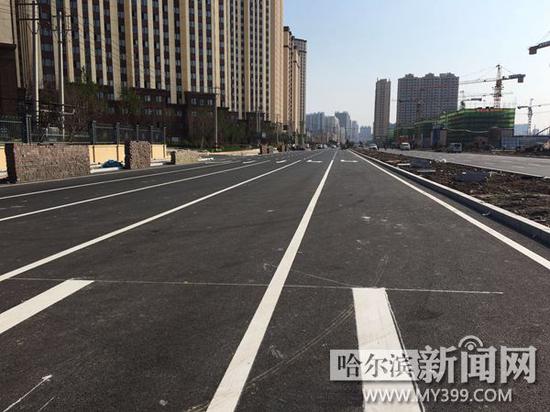 顾新街从龙葵路至和谐大道路面铺设完毕。