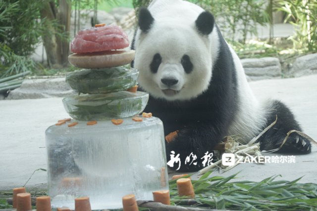 见到 " 少女系 " 蛋糕,露出迷之微笑。