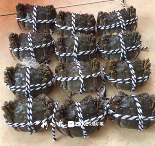 哈尔滨阳澄湖大闸蟹价格维稳 大涨价格可能是