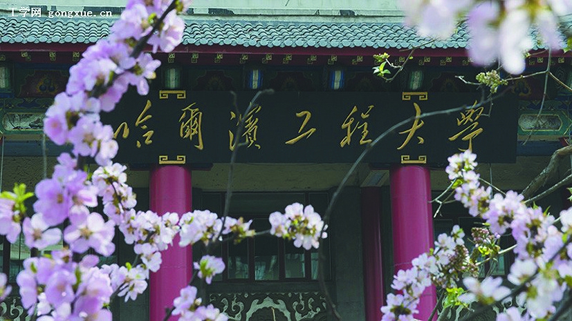 杏花美景(哈尔滨工程大学提供)